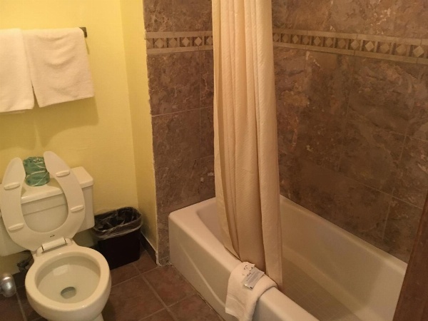 Executive Inn Odessa image 4